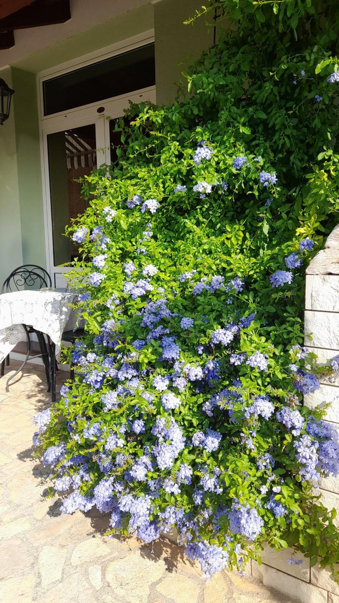 Apartments Tomi & Ivana Τρογκίρ Εξωτερικό φωτογραφία